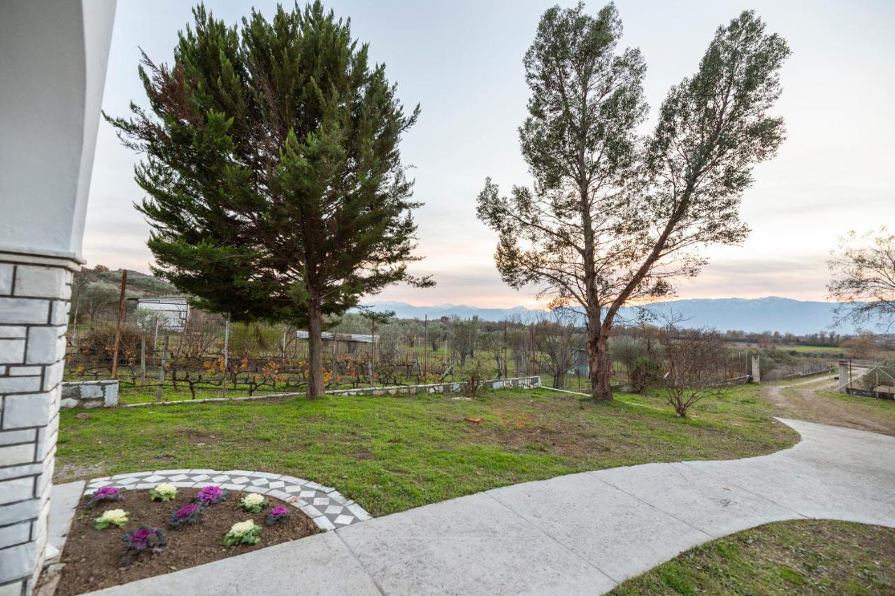 Τrικαλα - Μετεorα-Villa Toscana Tríkala Exteriör bild